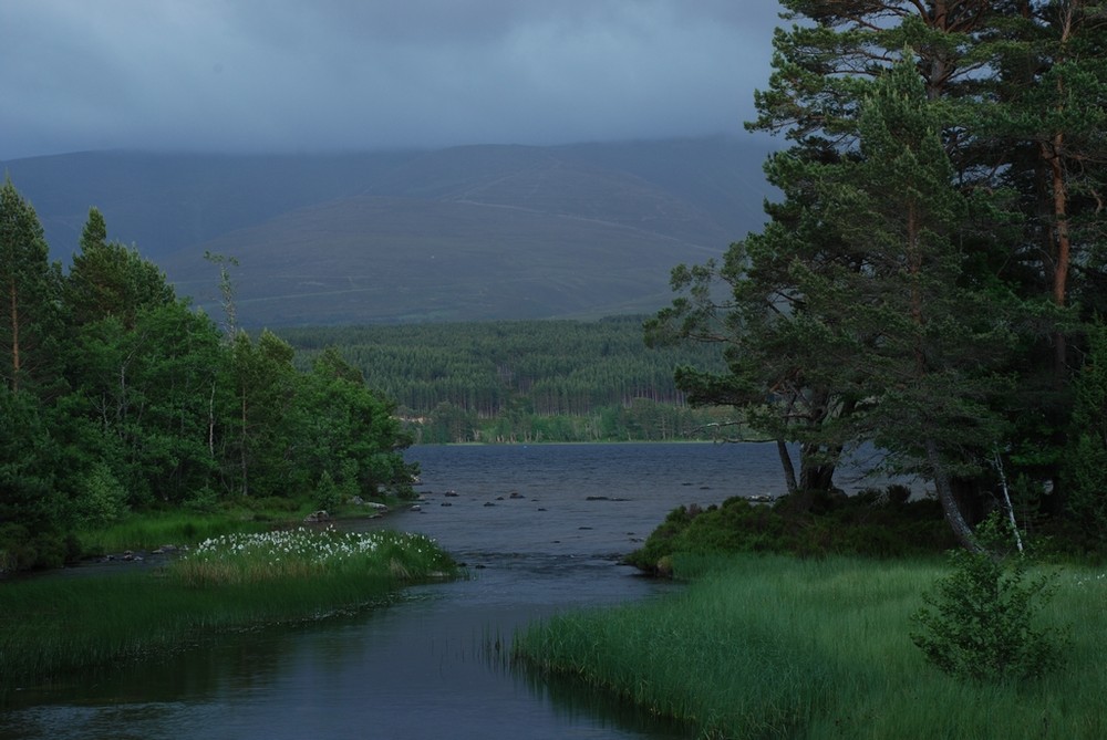 Loch morlich