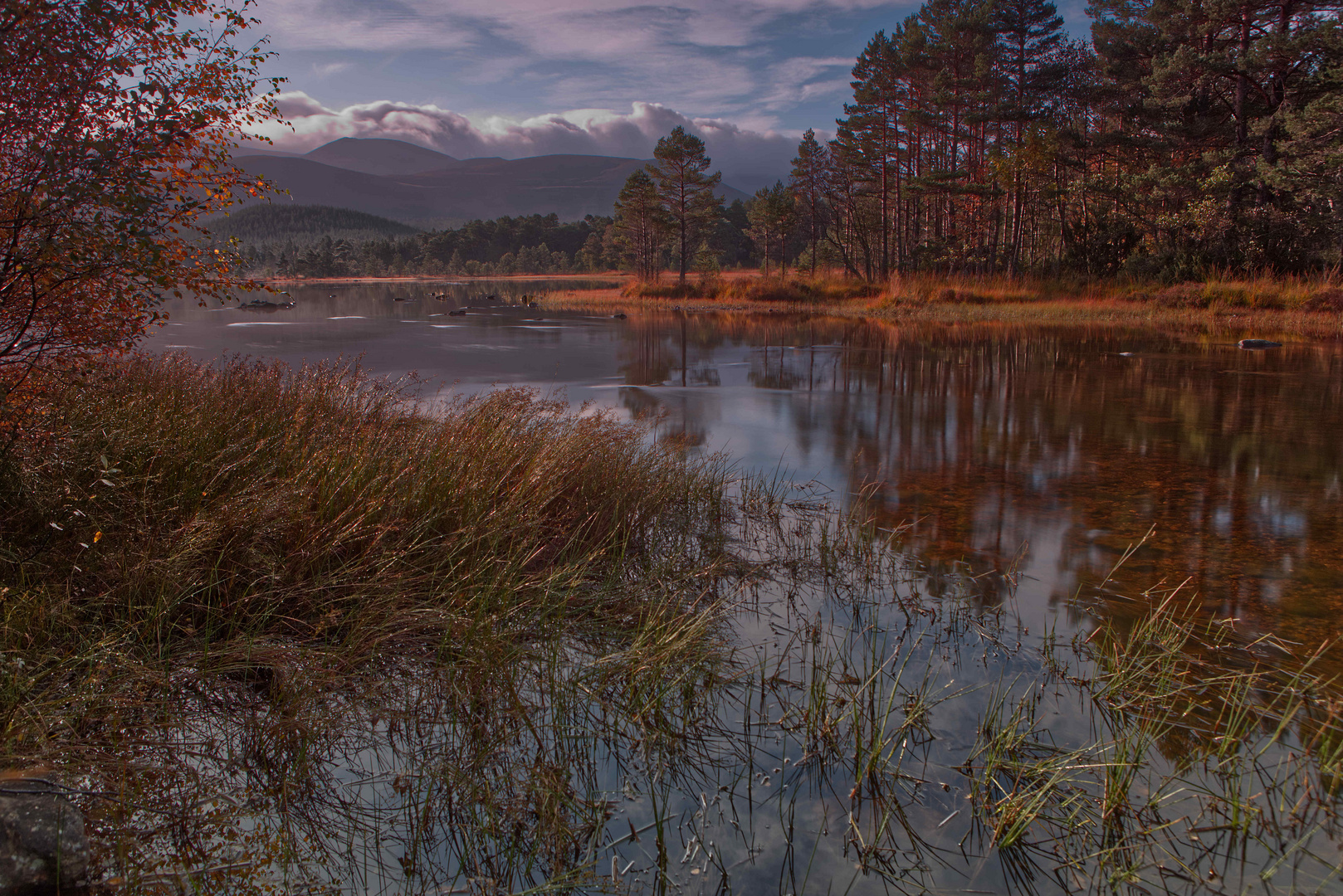 Loch Morlich