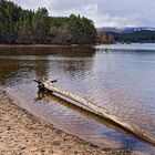 Loch Morlich, Glenmore