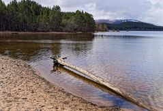 Loch Morlich, Glenmore