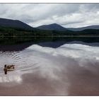 Loch Morlin I