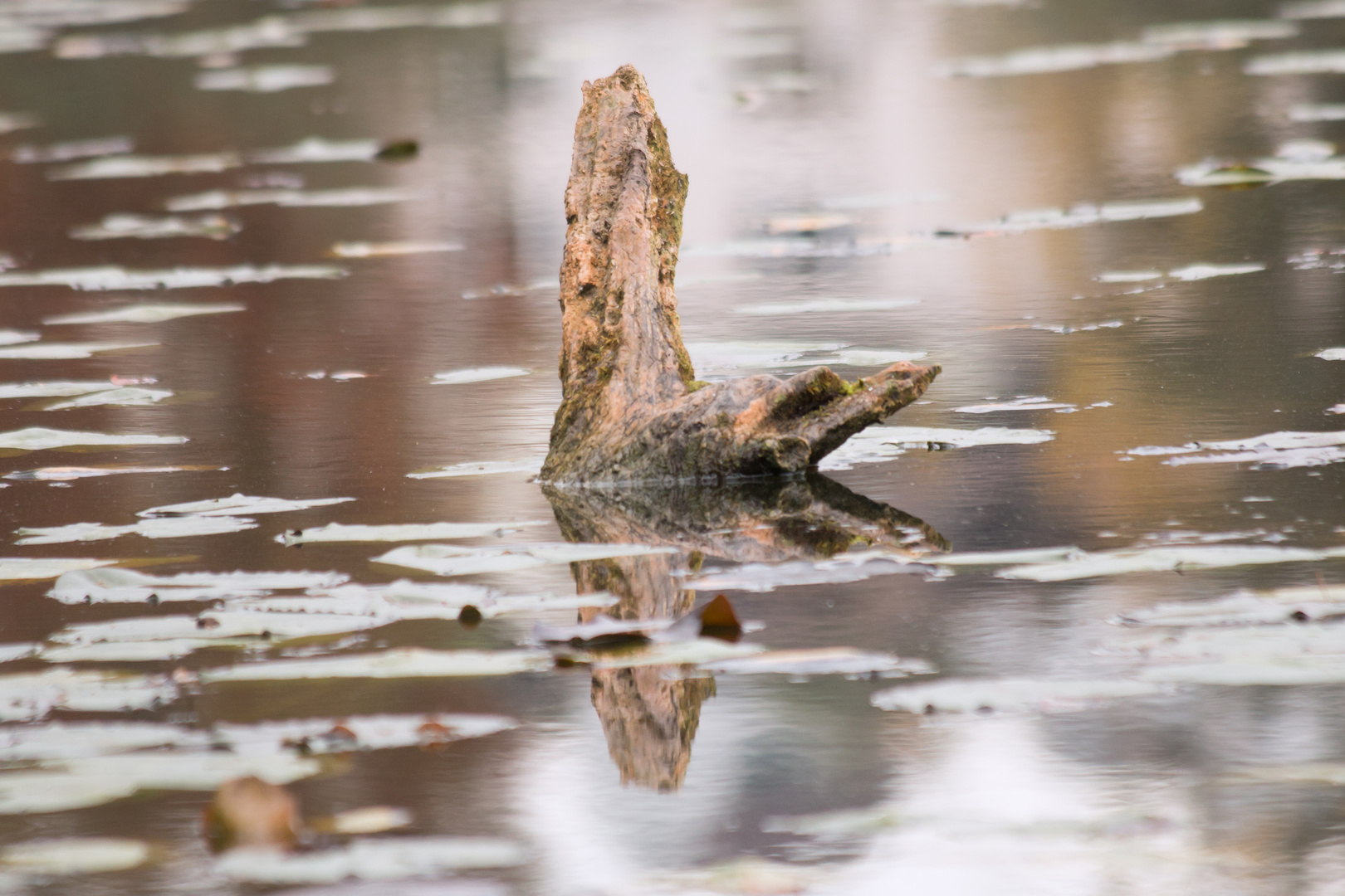 Loch Ness mal anders