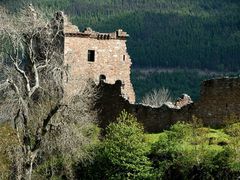 loch ness (urquhart castle)