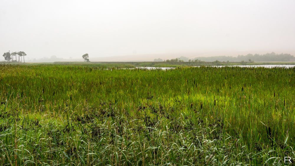 Loch of Kinnordy