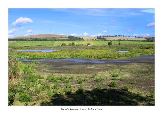 Loch of Kinnordy Nature Reserve