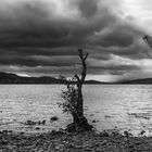 Loch Rannoch