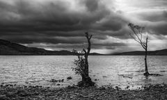 Loch Rannoch