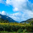 Loch Shiel 2