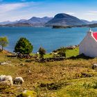 Loch Shieldaig