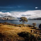 Loch Shiledaig