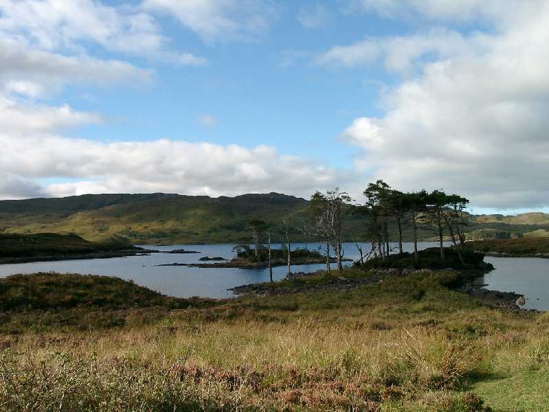 Loch Shin