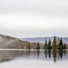 Loch Tarff