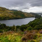 [ Loch Trool ]