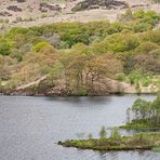 Loch Trool