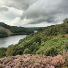 Loch Trool HDR