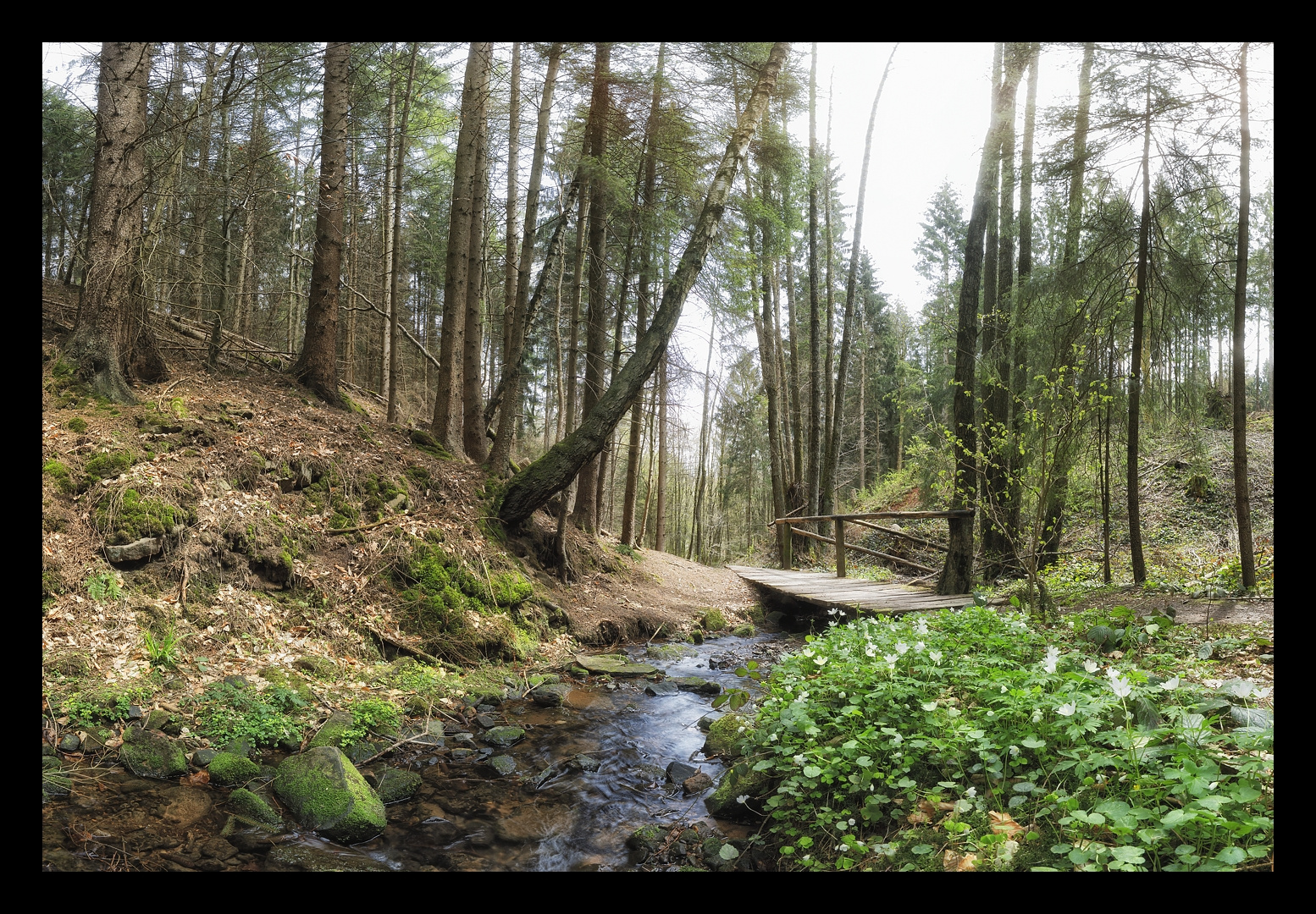 Lochbachklamm im Knüll Nordhessen