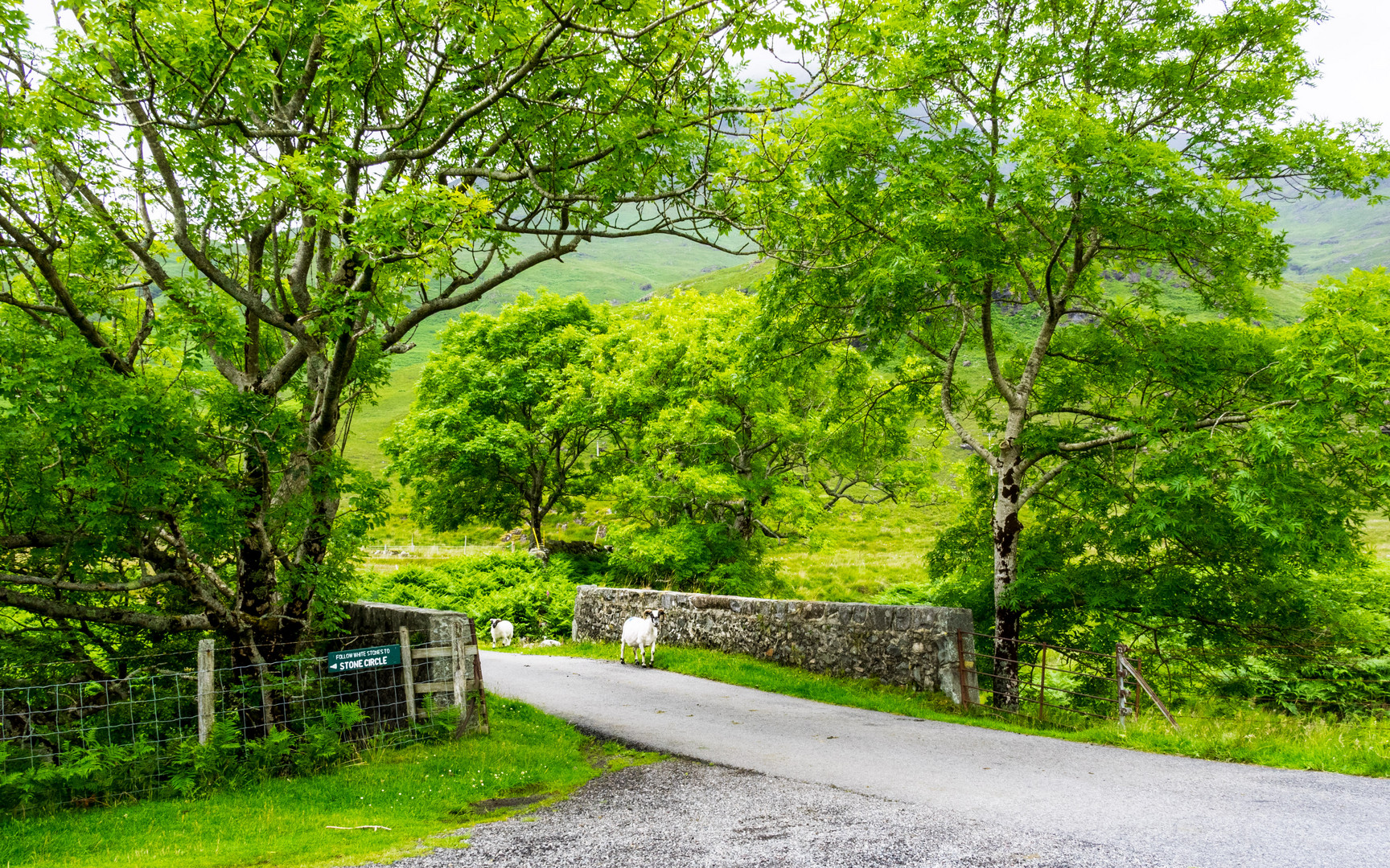 Lochbuie 