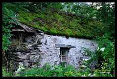 Lochearnhead - Croft