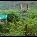 Lochearnhead - National Cycle Network No. 7