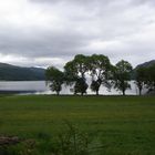 Lochend ... das Ende von Loch Ness im Süden