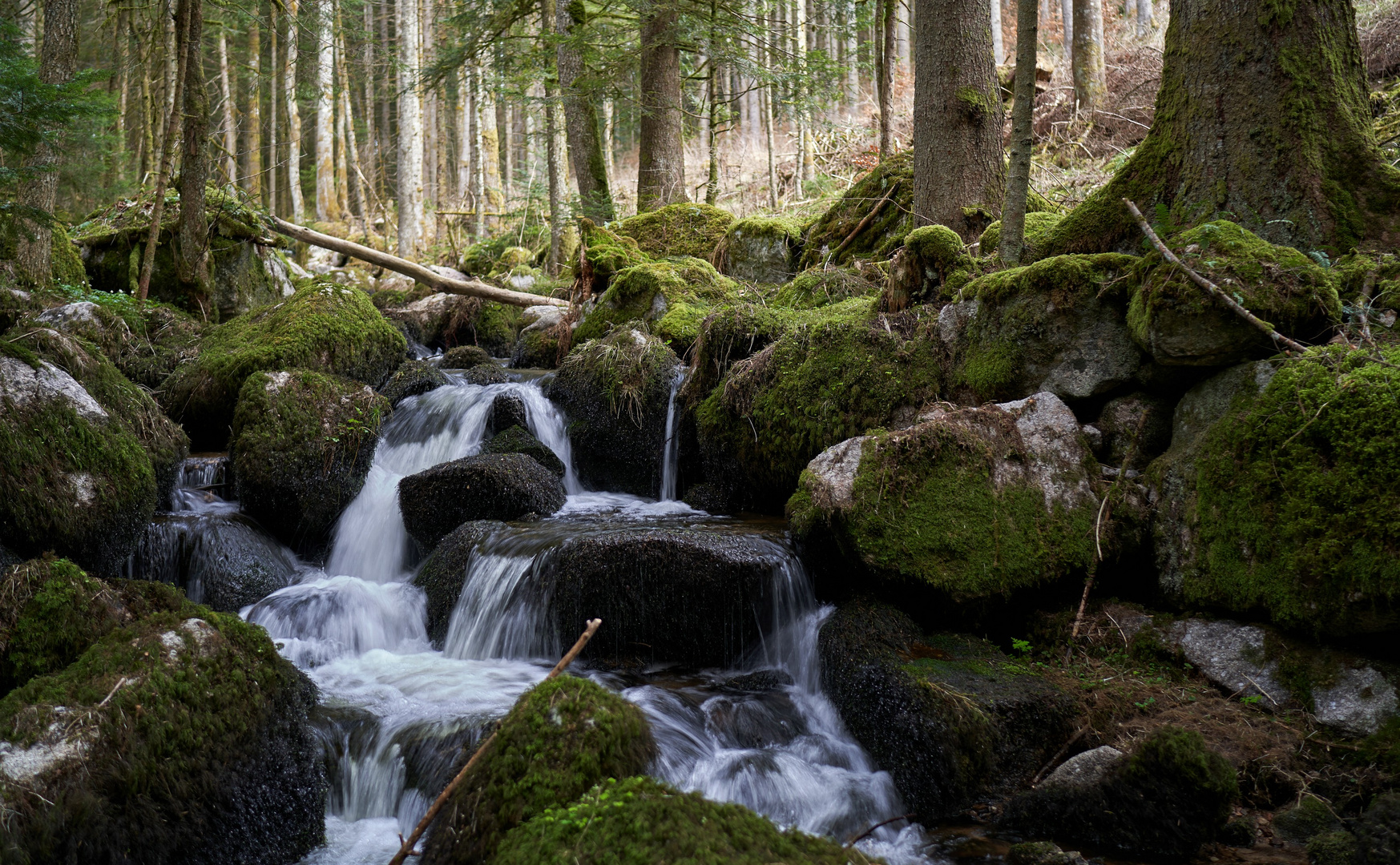 Lochmühltal