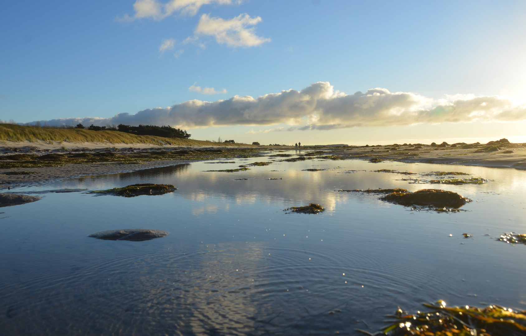 Lockdown auf Hiddensee 2020