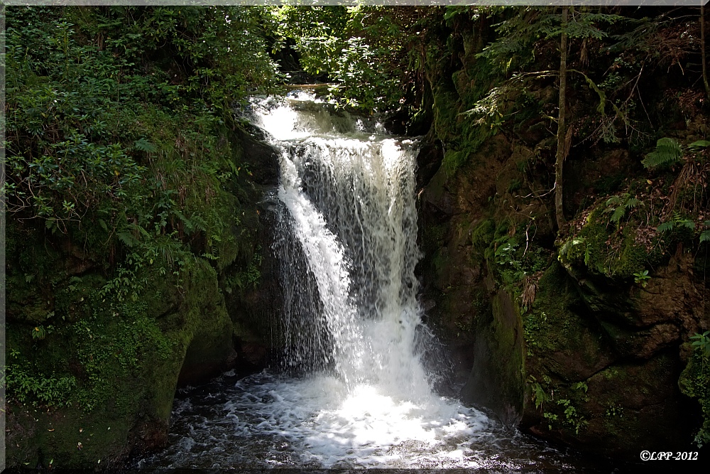 ... Locken-Wasser ...