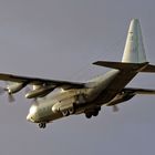 Lockheed Hercules C-130 H