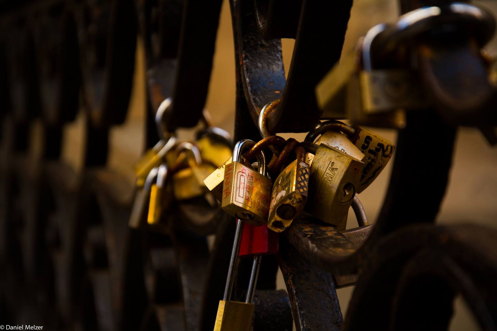 Locks of love at Venezia