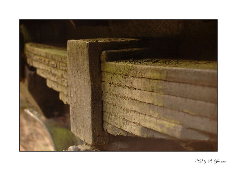 * Lockschuppen im Revier Detail *