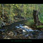 Lockwitzbach Postkarte