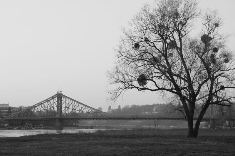 Lockwitzbrücke