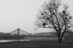 Lockwitzbrücke