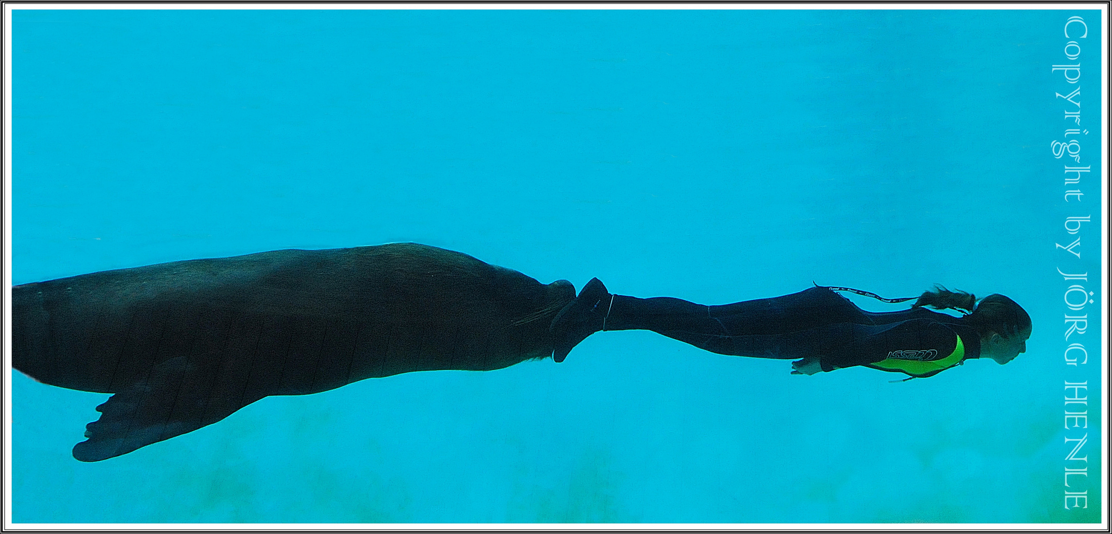 Locomotion under water once differently