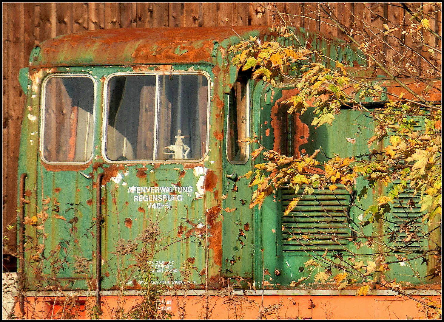 locomotive in all colours of autumn