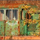 locomotive in all colours of autumn