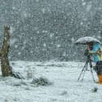 LOCOS POR LA FOTOGRAFÍA. Dedicada a JOSUNE ETXEBARRIA.