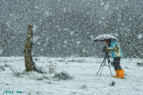 LOCOS POR LA FOTOGRAFÍA. Dedicada a JOSUNE ETXEBARRIA.