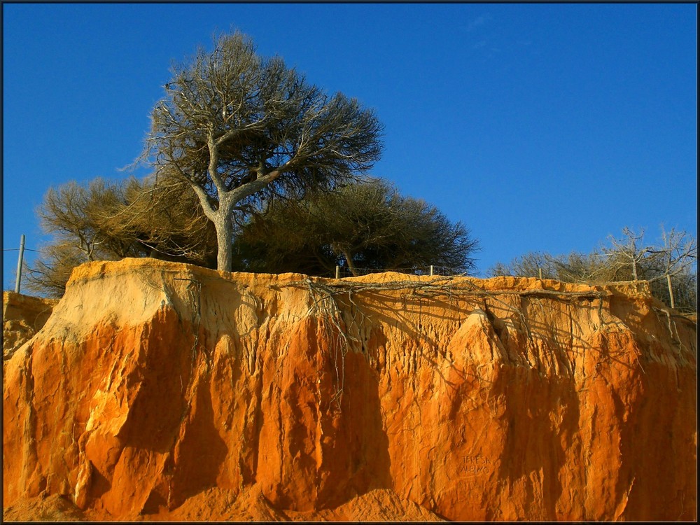 L'ocre des falaises de l'Algarve, Portugal