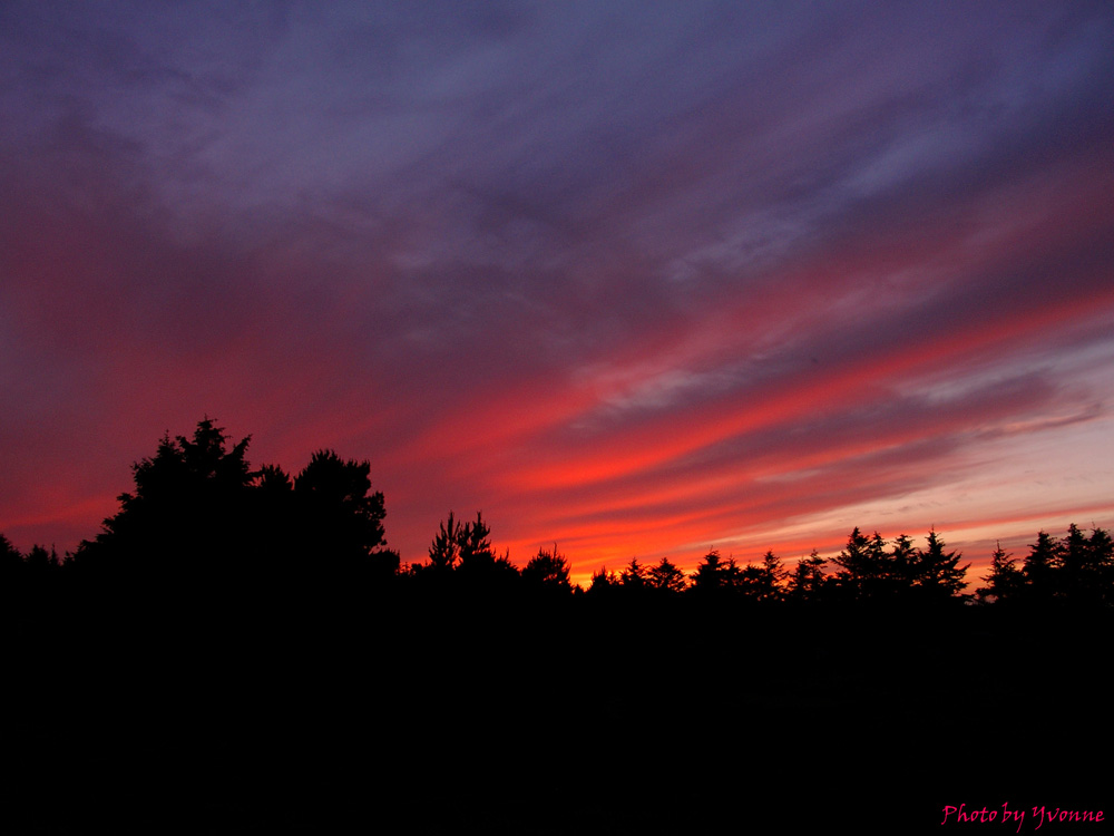 Lodernder Wald? Nein, Sonnenuntergang!