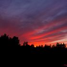 Lodernder Wald? Nein, Sonnenuntergang!