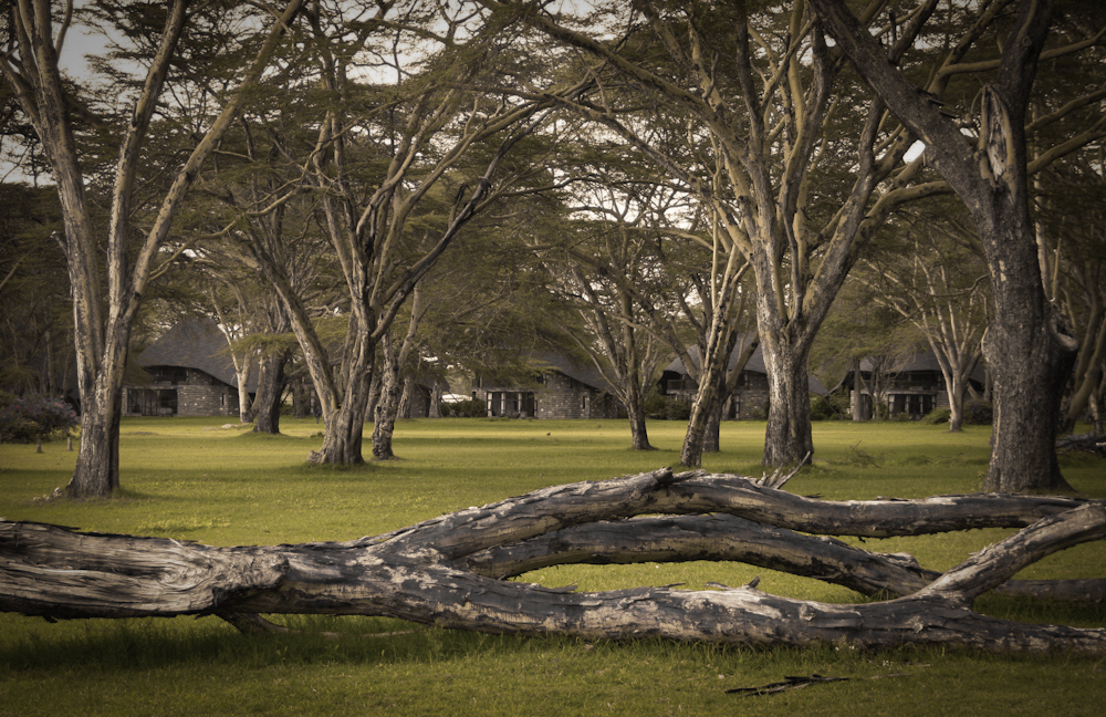 Lodge in Kenya