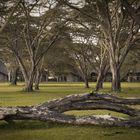 Lodge in Kenya