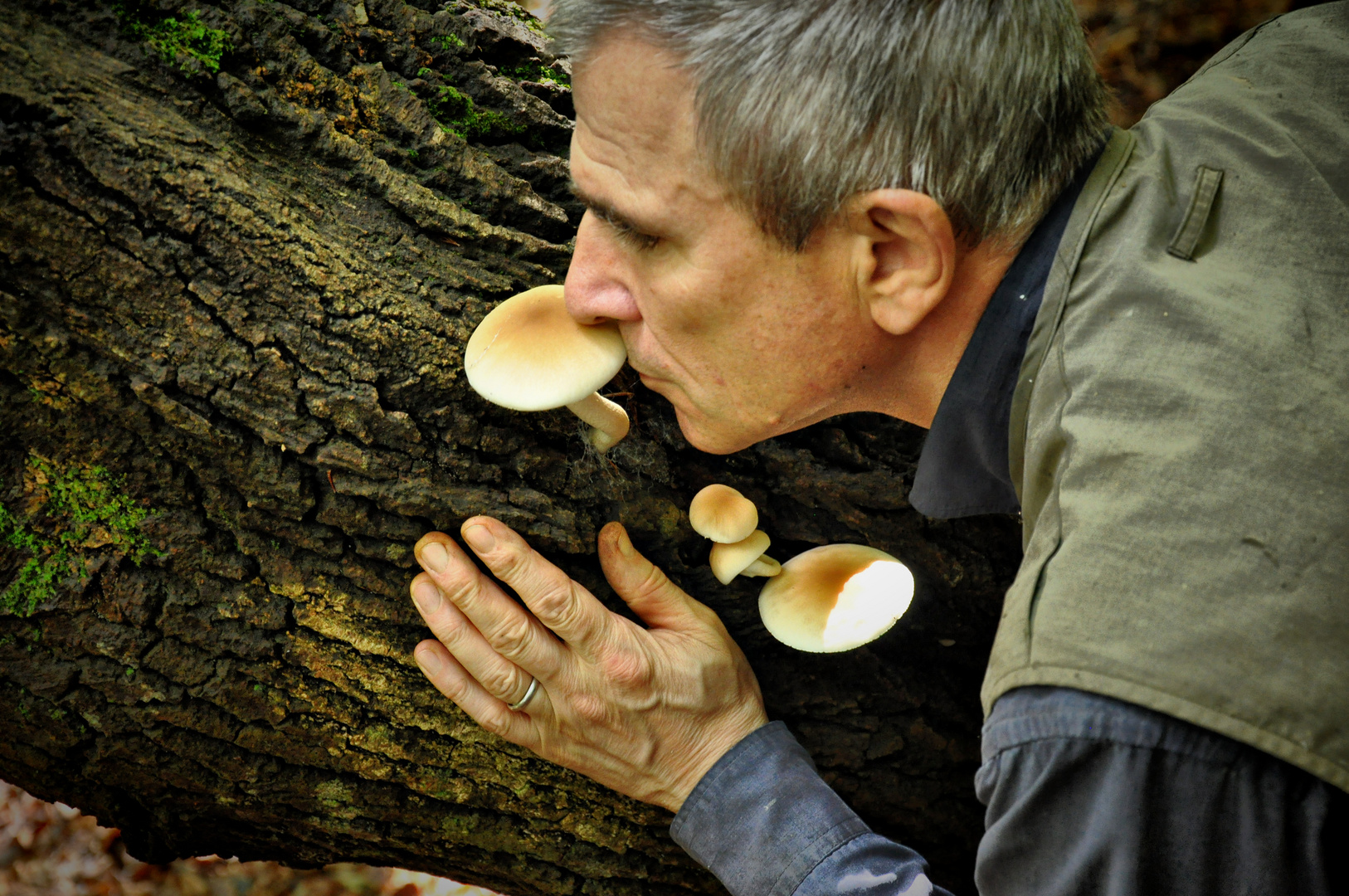 l'odore di funghi selvatici