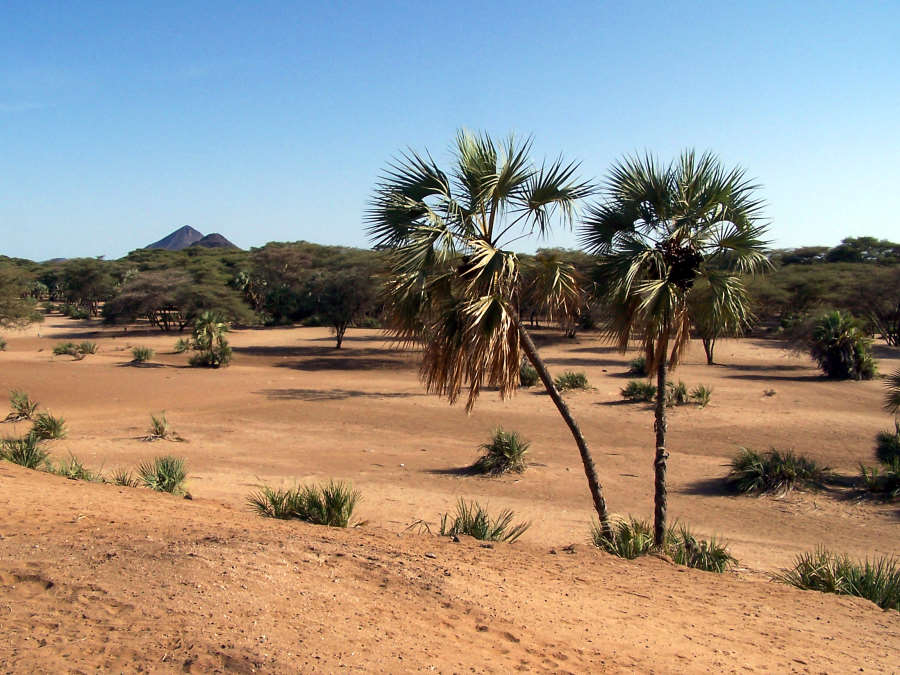 Lodwar