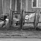 Lodz in Polen. Ein Obdachloser sitzt auf einem Stein vor einer Baustelle einer zukünftigen Siedlung