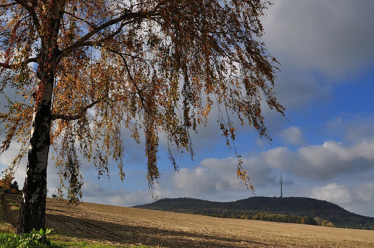 Löbauer Berg und Schafberg