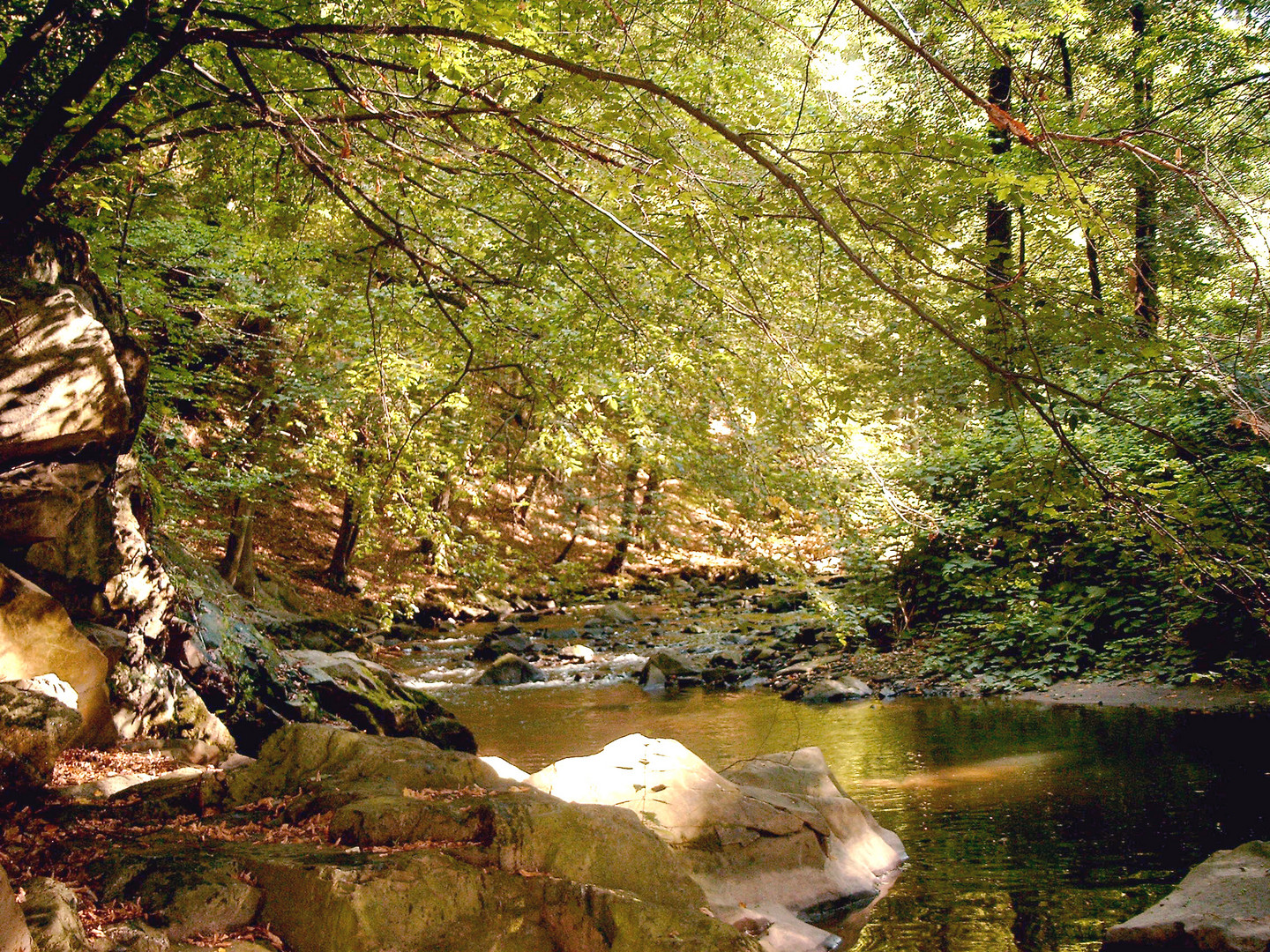 Löbauer Wasser 2