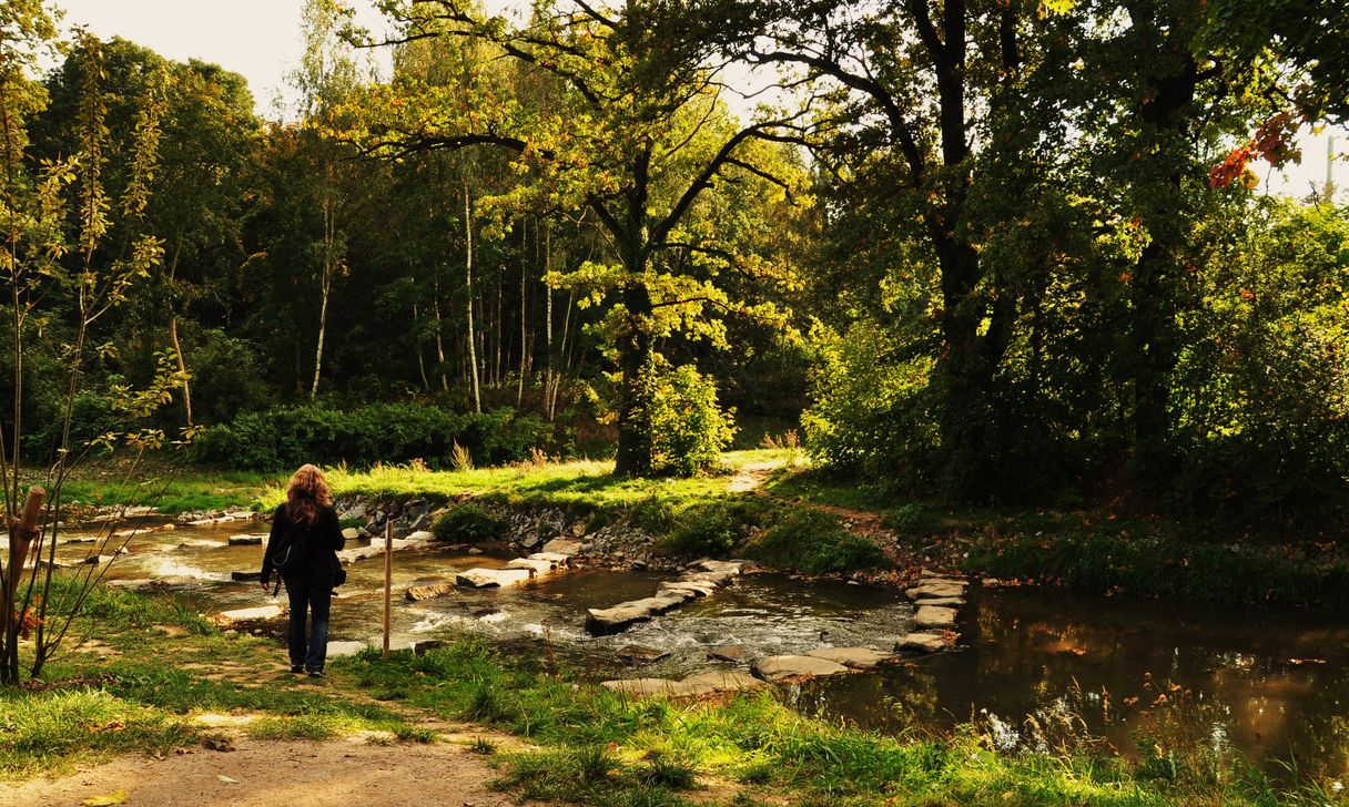 Löbauer Wasser im Herbst