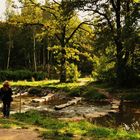 Löbauer Wasser im Herbst